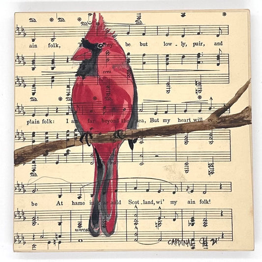 Cardinal Song Bird